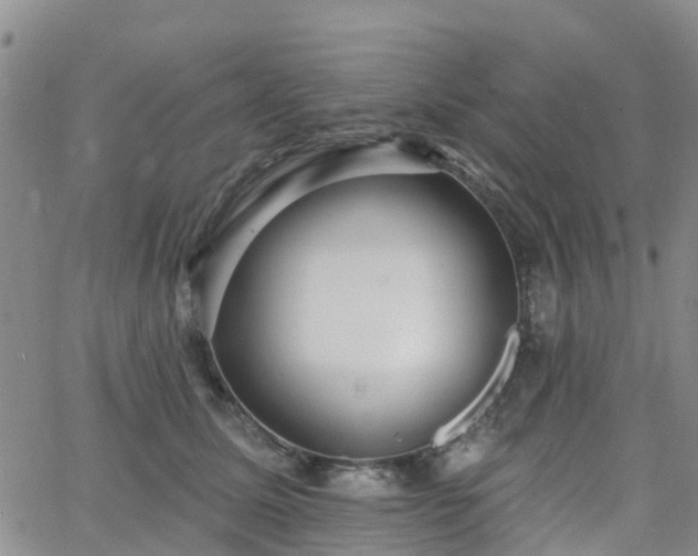 X0000063490611200601231414