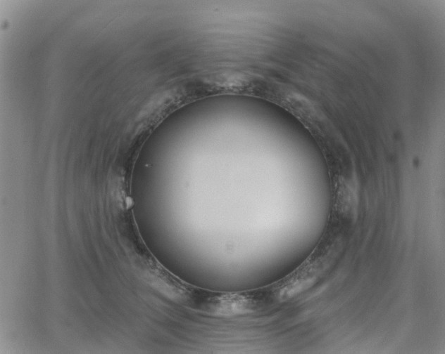 X0000063490612200601231414