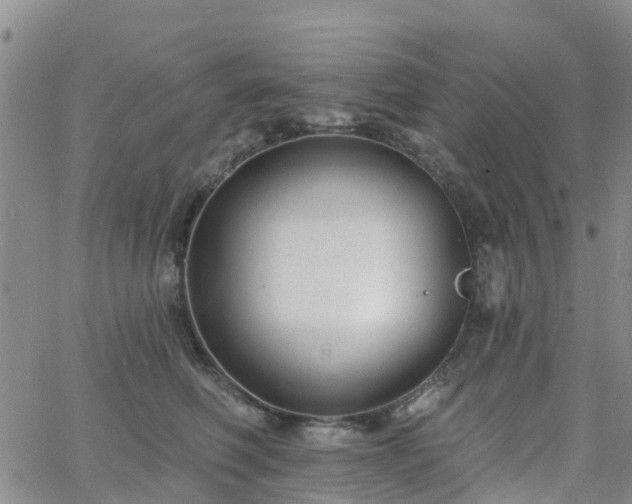 X0000063490614200601231414