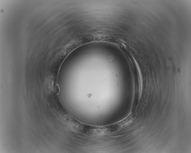 X0000063490615200601231414