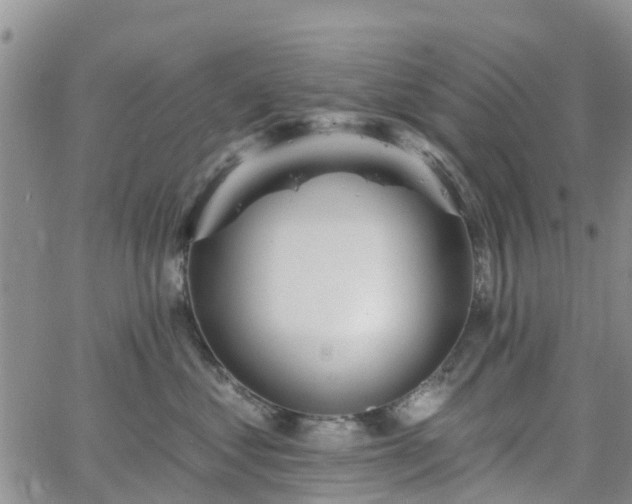 X0000063490621200601231413