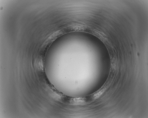 X0000063490622200601231413