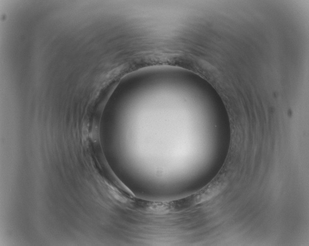 X0000063490624200601231413