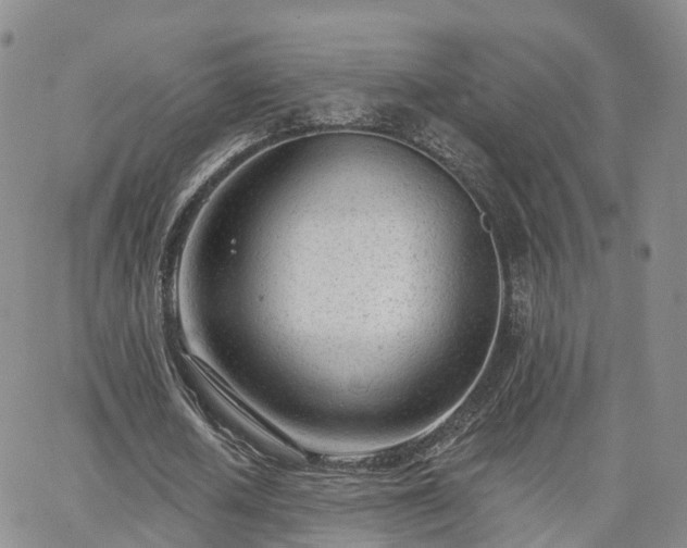 X0000063490626200601231413