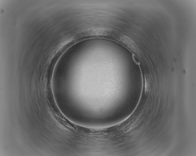 X0000063490627200601231413