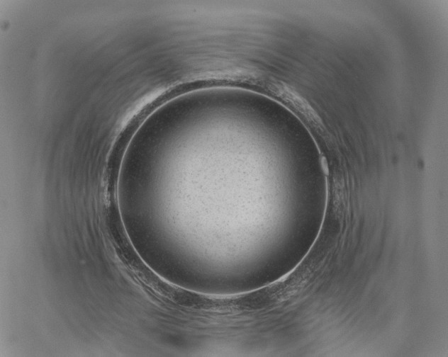 X0000063490628200601231413