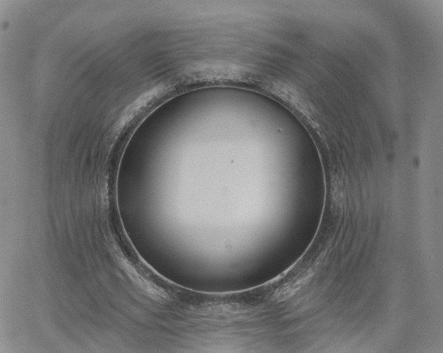 X0000063490629200601231413