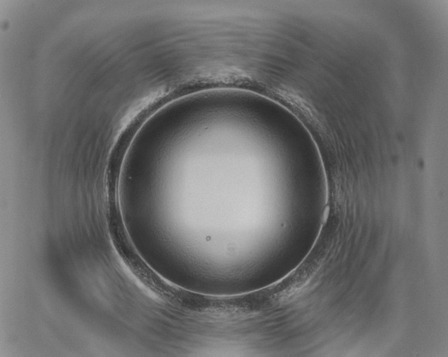 X0000063490630200601231413