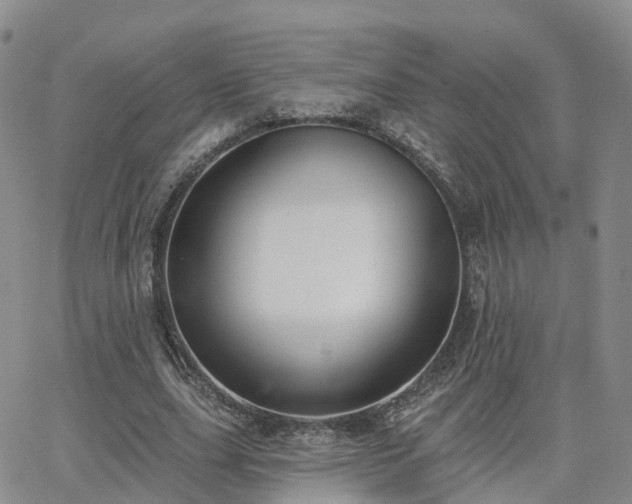 X0000063490631200601231413