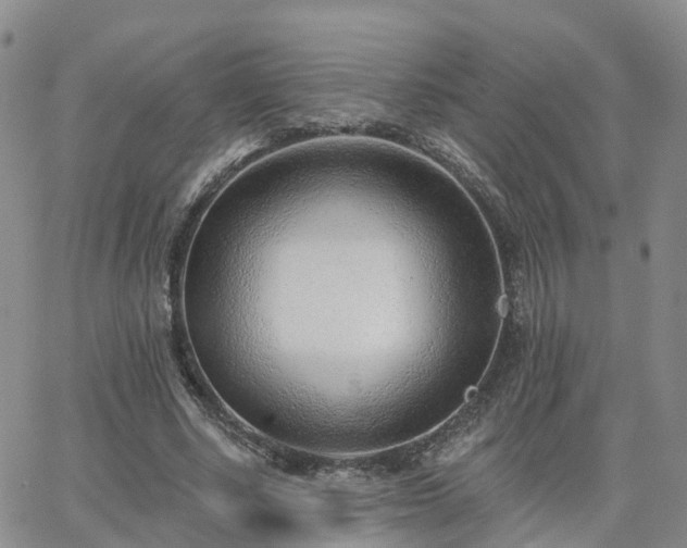 X0000063490634200601231413