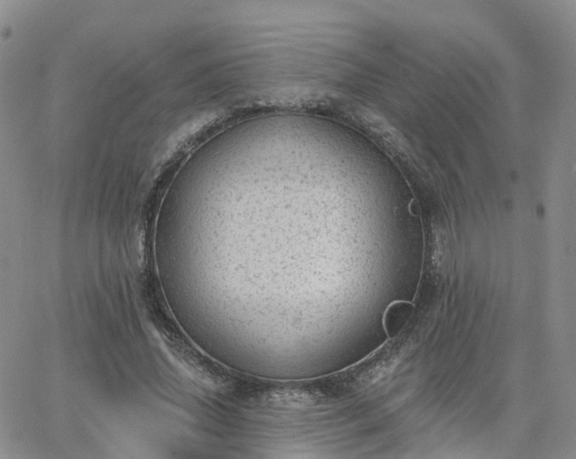 X0000063490636200601231413