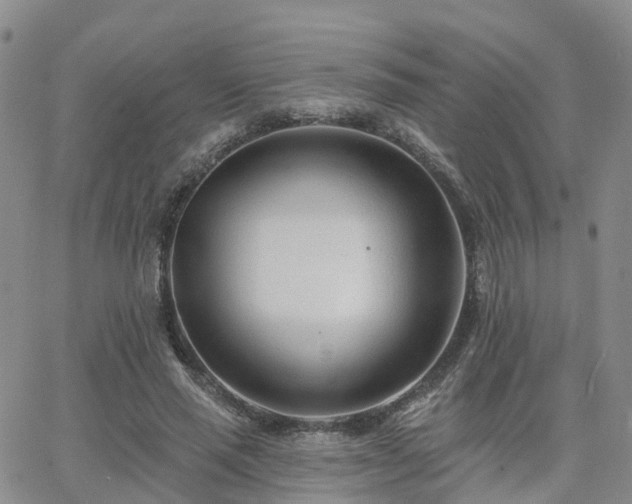 X0000063490637200601231413