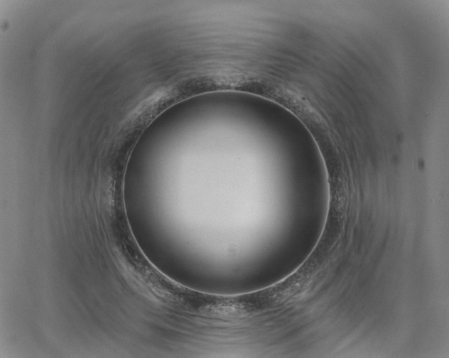 X0000063490639200601231413