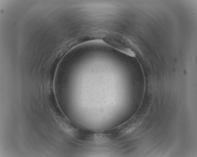 X0000063490641200601231413