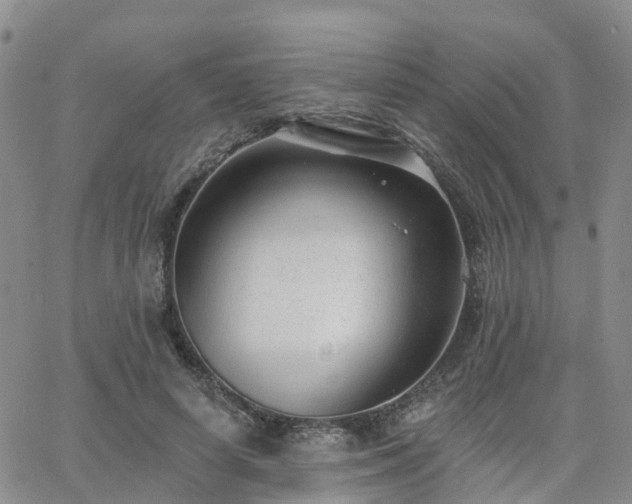 X0000063490642200601231413