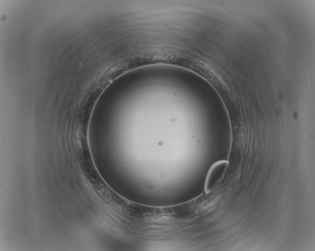 X0000063490643200601231413