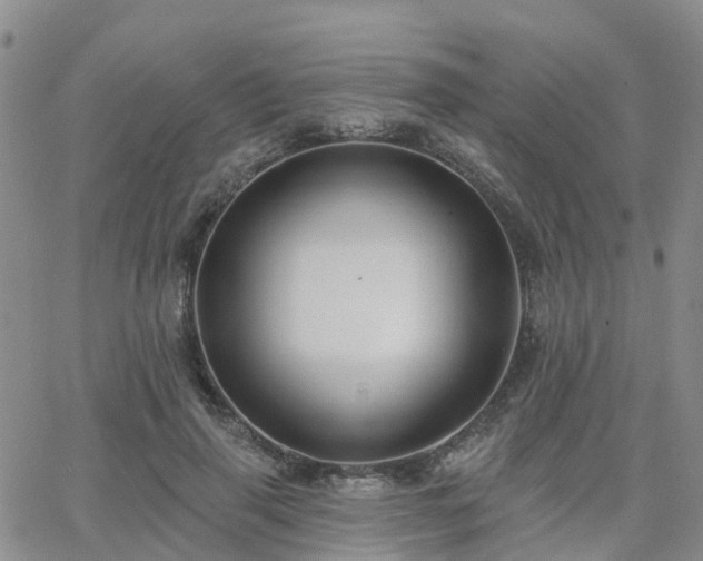 X0000063490645200601231413