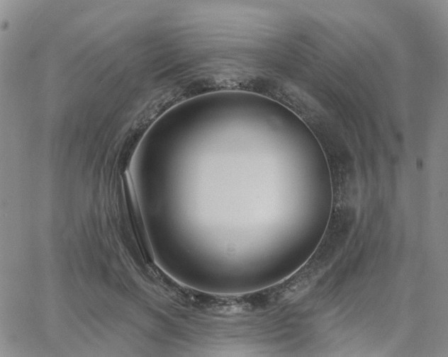 X0000063490646200601231413