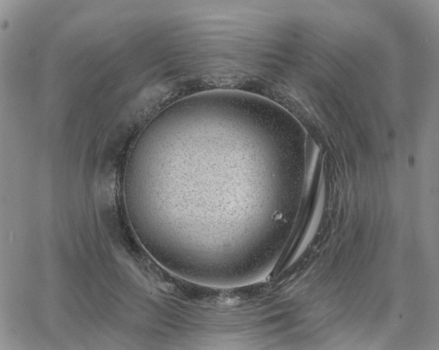 X0000063490647200601231413