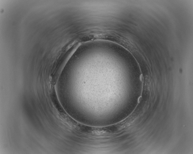 X0000063490650200601231413