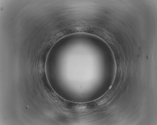 X0000063490651200601231413