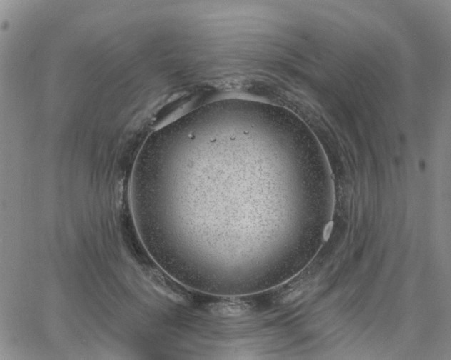 X0000063490652200601231413