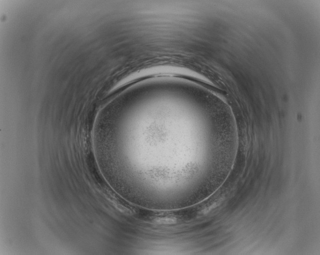 X0000063490653200601231413