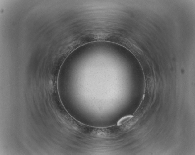 X0000063490655200601231413