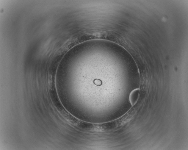 X0000063490656200601231413