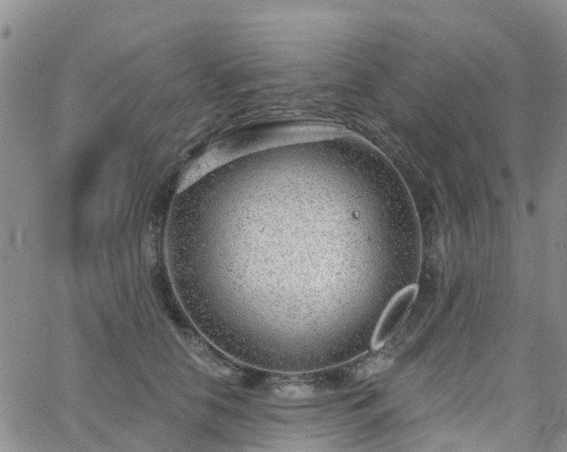 X0000063490658200601231413