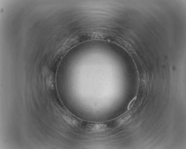 X0000063490663200601231413