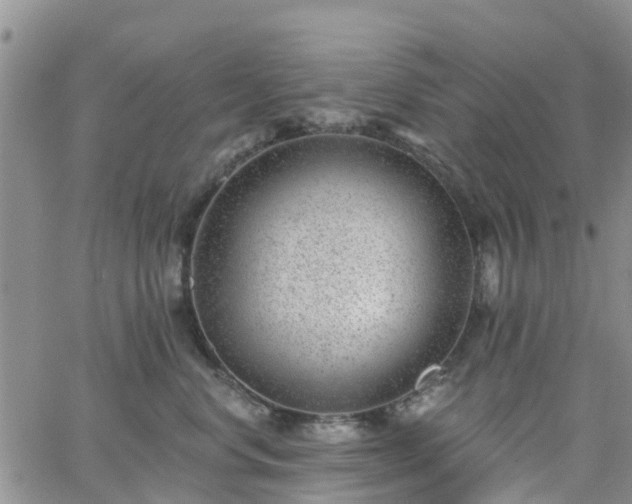 X0000063490668200601231413