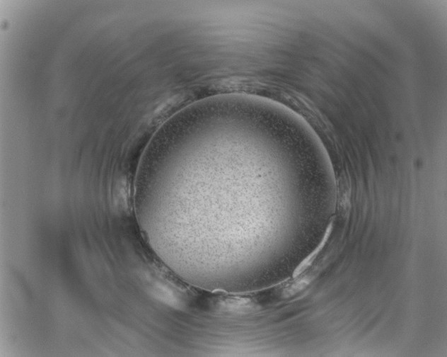 X0000063490669200601231413