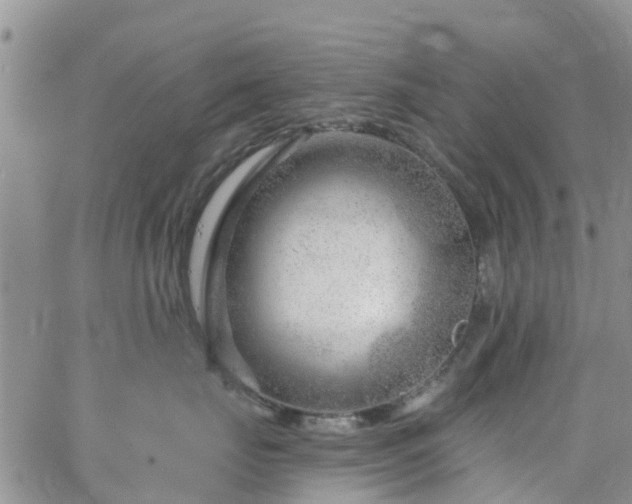 X0000063490671200601231413