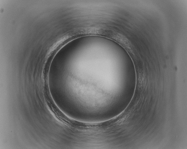 X0000063490674200601231413