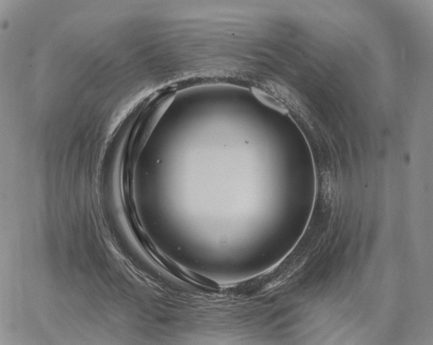 X0000063490676200601231413