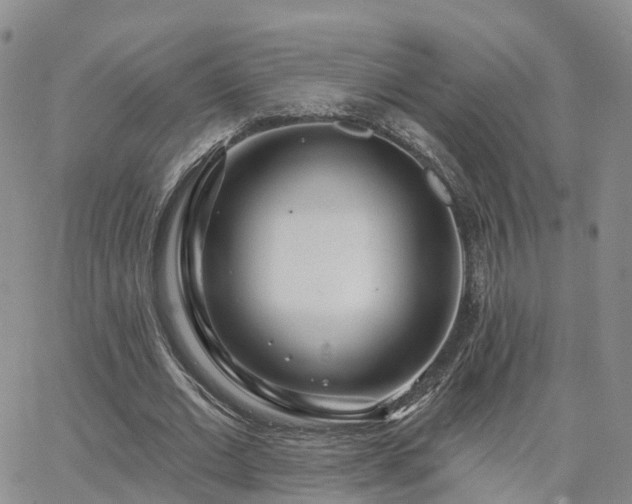 X0000063490677200601231413