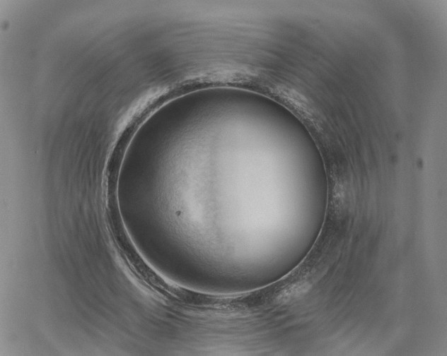 X0000063490678200601231412