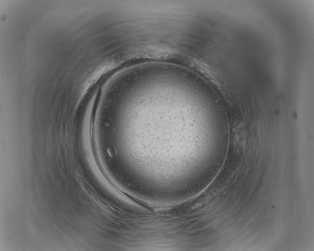 X0000063490679200601231412