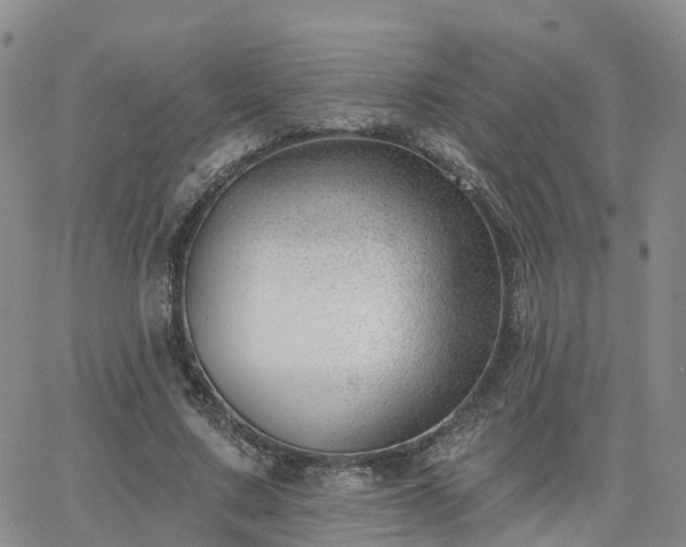 X0000063490683200601231412