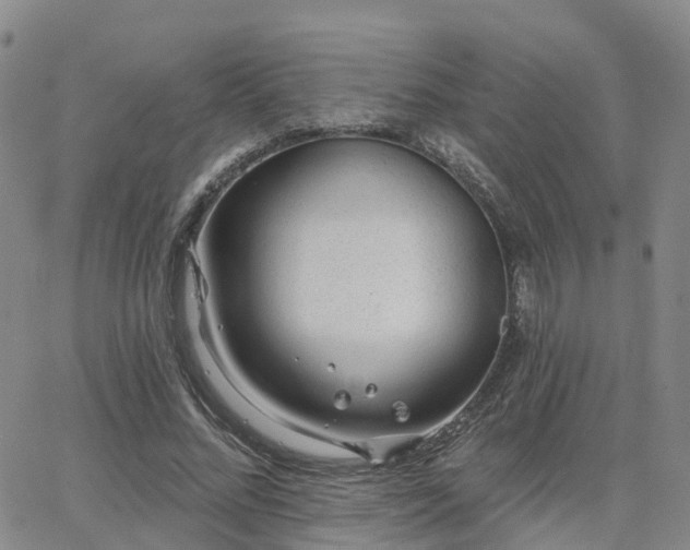 X0000063490684200601231412