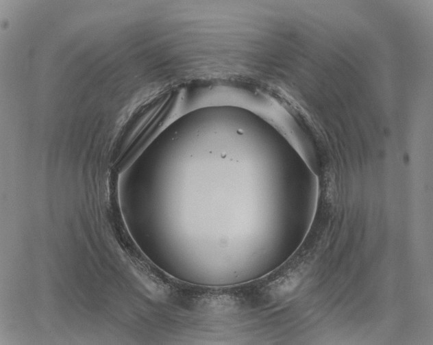 X0000063490685200601231412