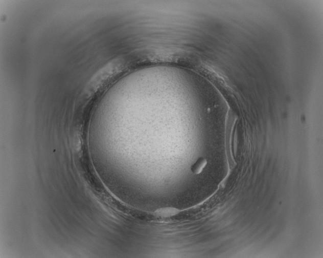 X0000063490687200601231412