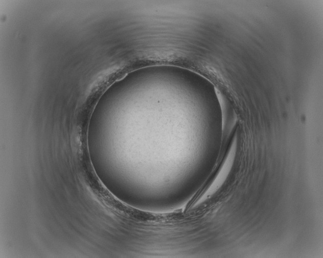 X0000063490688200601231412