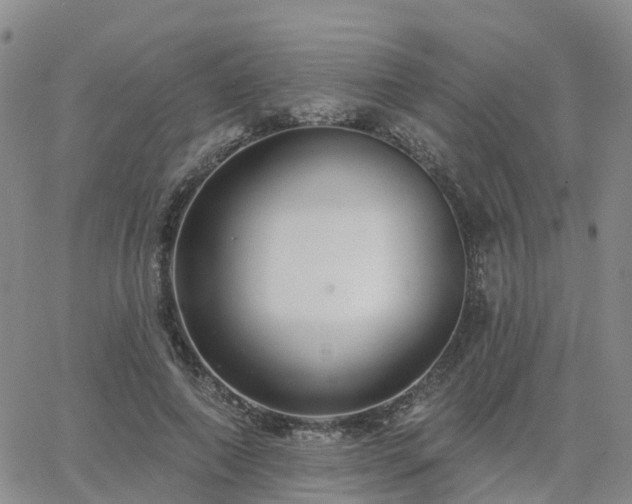 X0000063490690200601231412