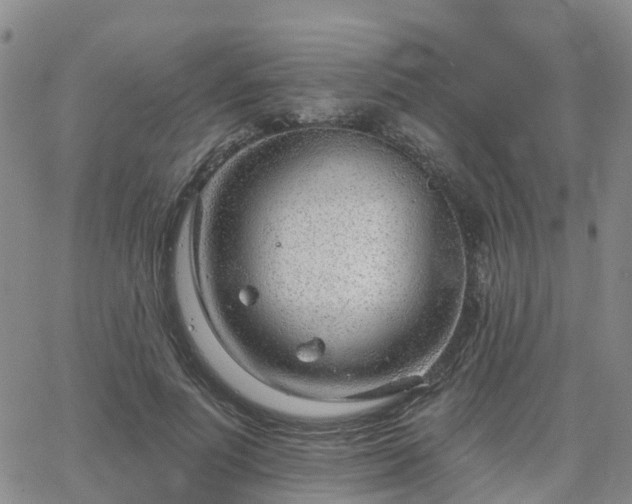 X0000063490691200601231412