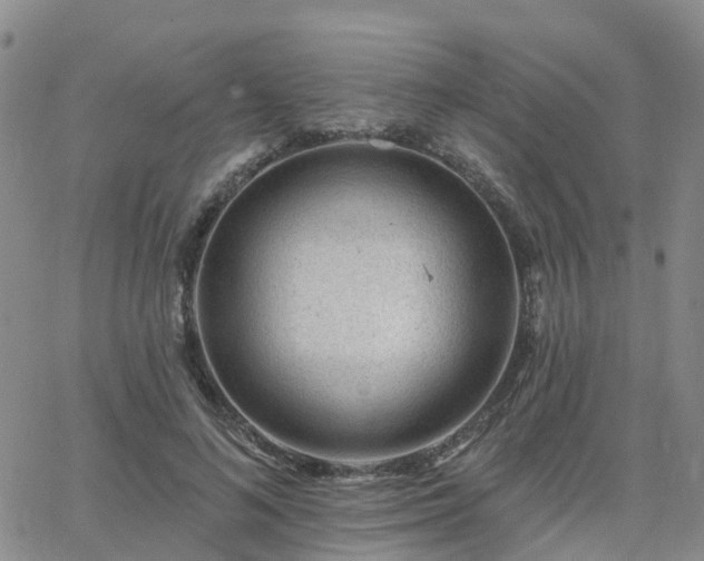 X0000063490692200601231412