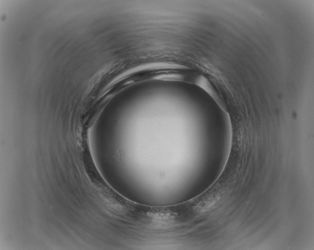 X0000063490693200601231412