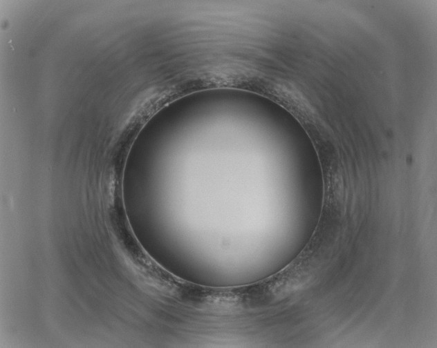 X0000063490694200601231412