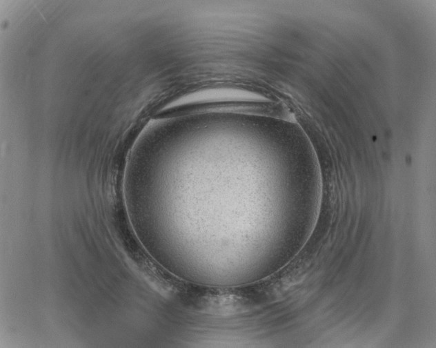 X0000063490695200601231412